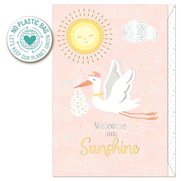 Pink Stork New Baby Card