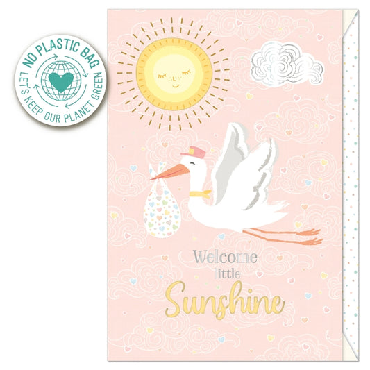 Pink Stork New Baby Card