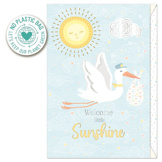 Blue Stork New Baby Card