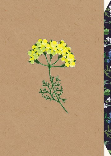 Chrysanthemum Pure Card