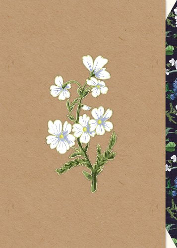 Snow in Summer Pure Card