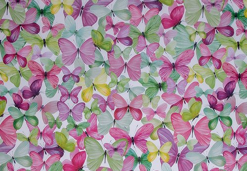50x70cm Gift Wrap Paper - Butterfly Kiss