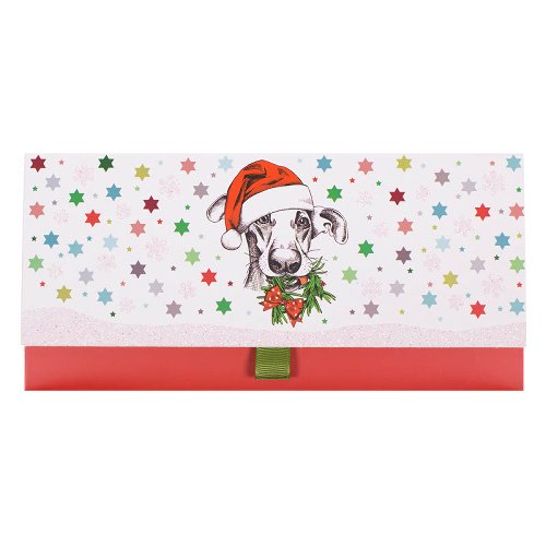 Voucher Envelope Large - Pup In Santa Hat