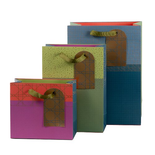 Gift Bag Assorted Set of 3 Colour Block